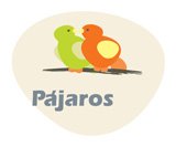 Aves